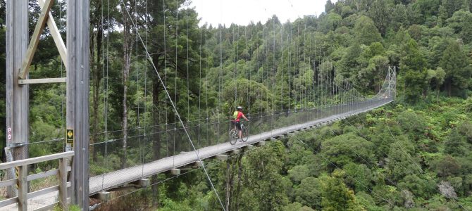 Tag 14: Bikeday — Timber Trail