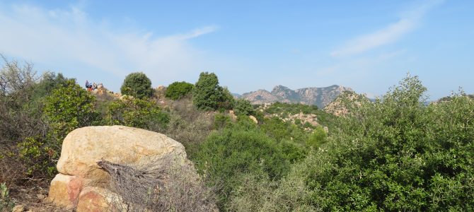 Sardinien Bike Tag #1: Naturpark Biderosa