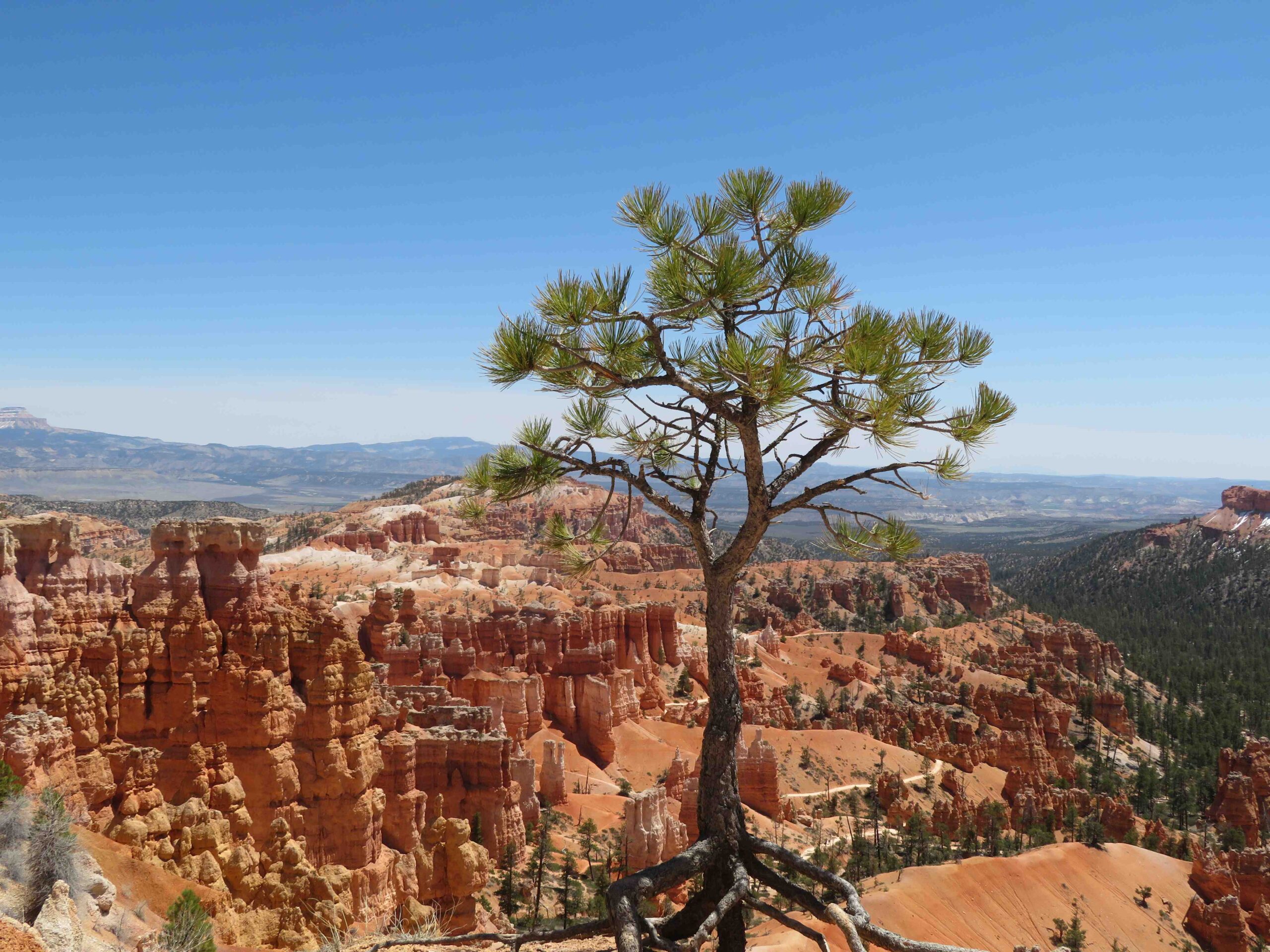 USA2023: day #11 — Bryce Canyon